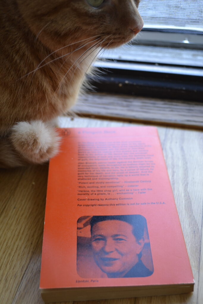 An orange tabby sits above the bright orange back of a book cover.