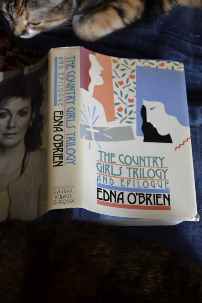 A simple tracing of two womens' faces grace the cover of a book titled 'The Country Girls Trilogy'.