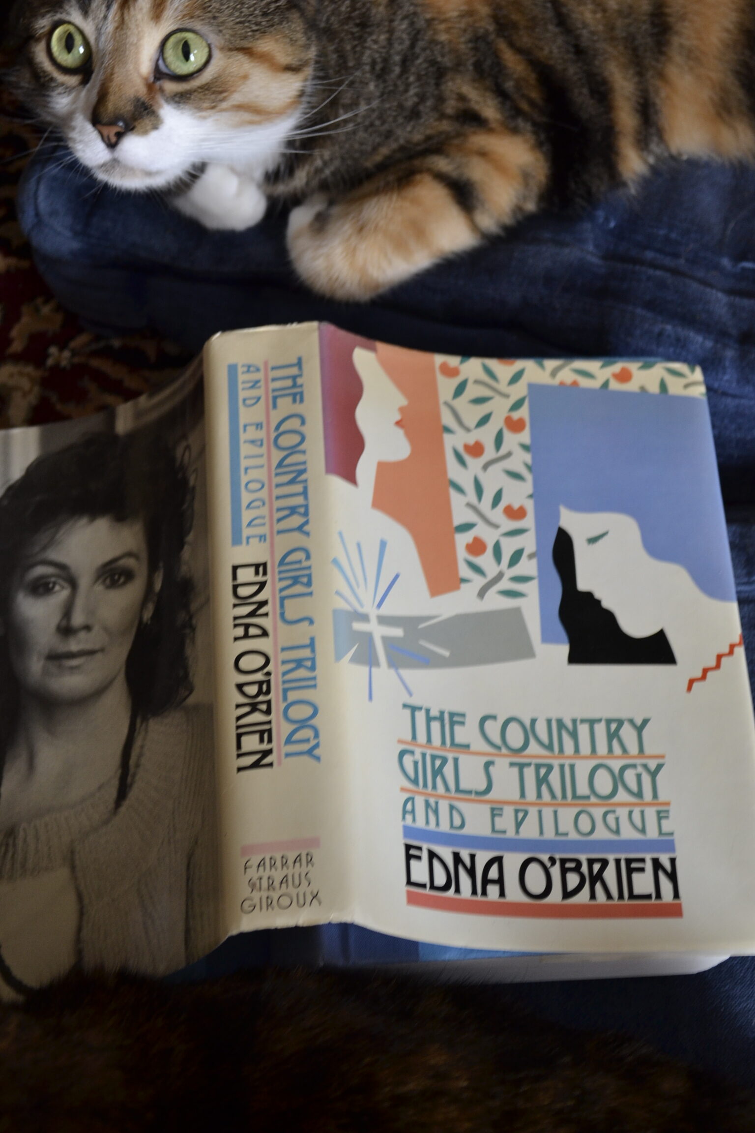 A wide-eyed calico tabby sits beside an open book titled 'The Country Girls Trilogy and Epilogue'.