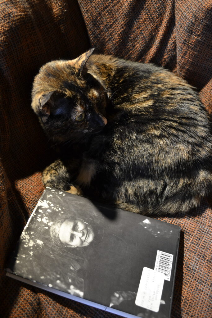 The back of a book lying beside a tortoiseshell cat shows a full-page picture of a woman.