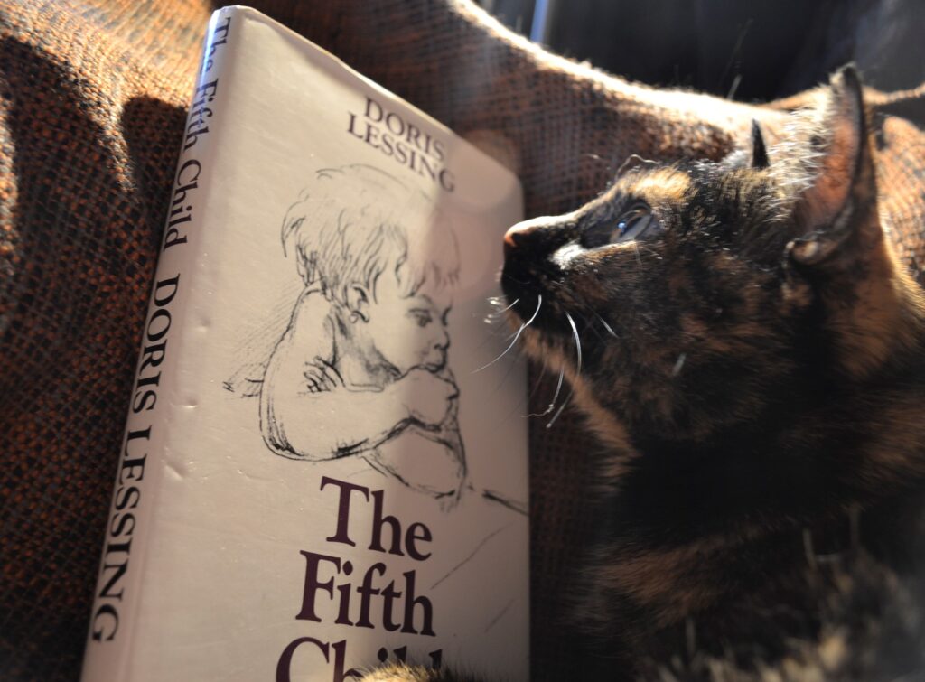 A tortoiseshell cat looks at the light about a white book titled 'The Fifth Child'.