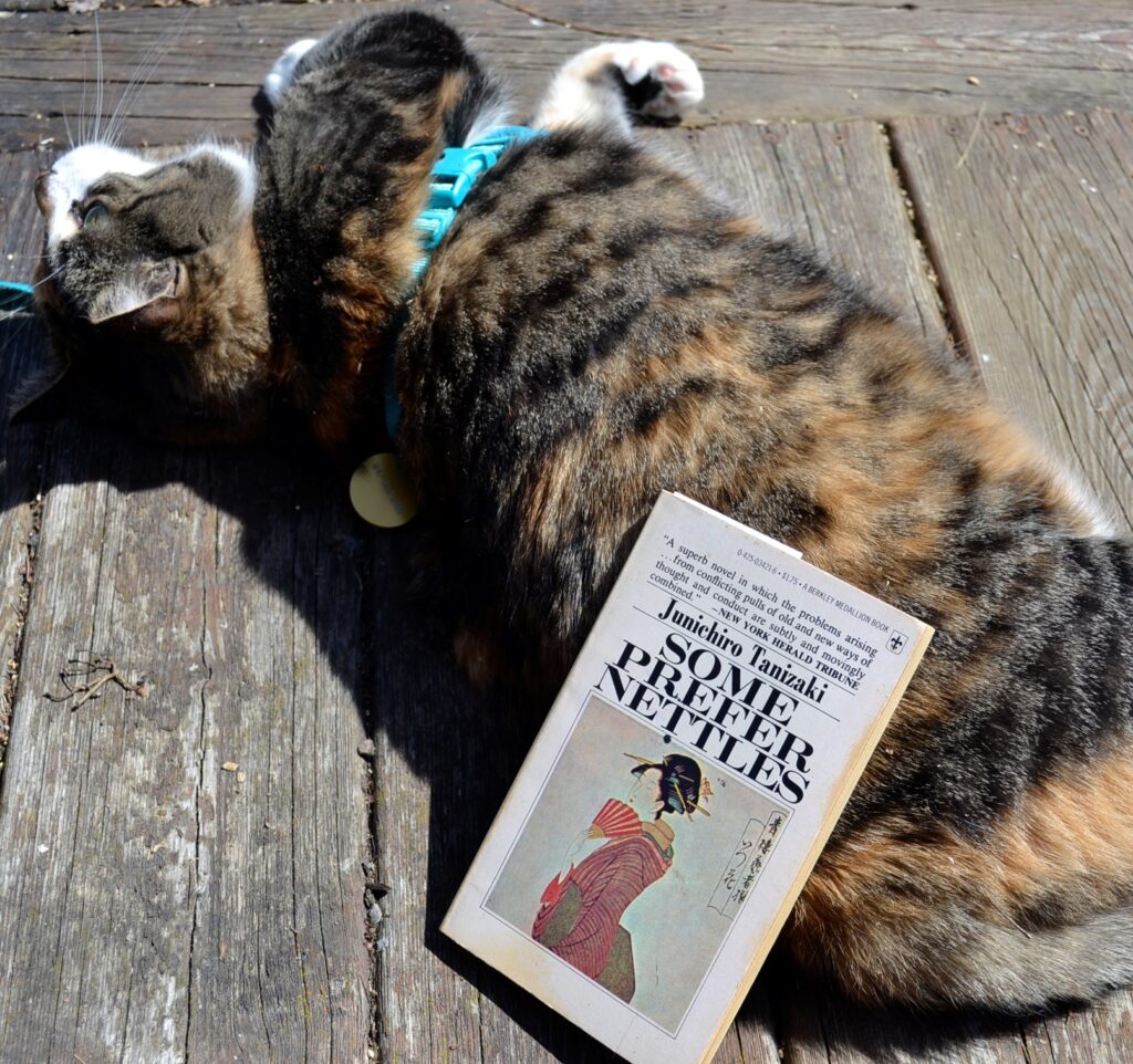 On the back of a calico tabby sits a worn paperback featuring an illustration of a woman in a kimono.
