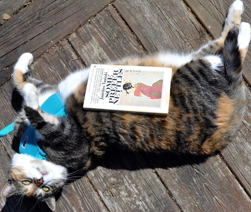 On the belly of a calico tabby sits a worn paperback titled 'Some Prefer Nettles'.