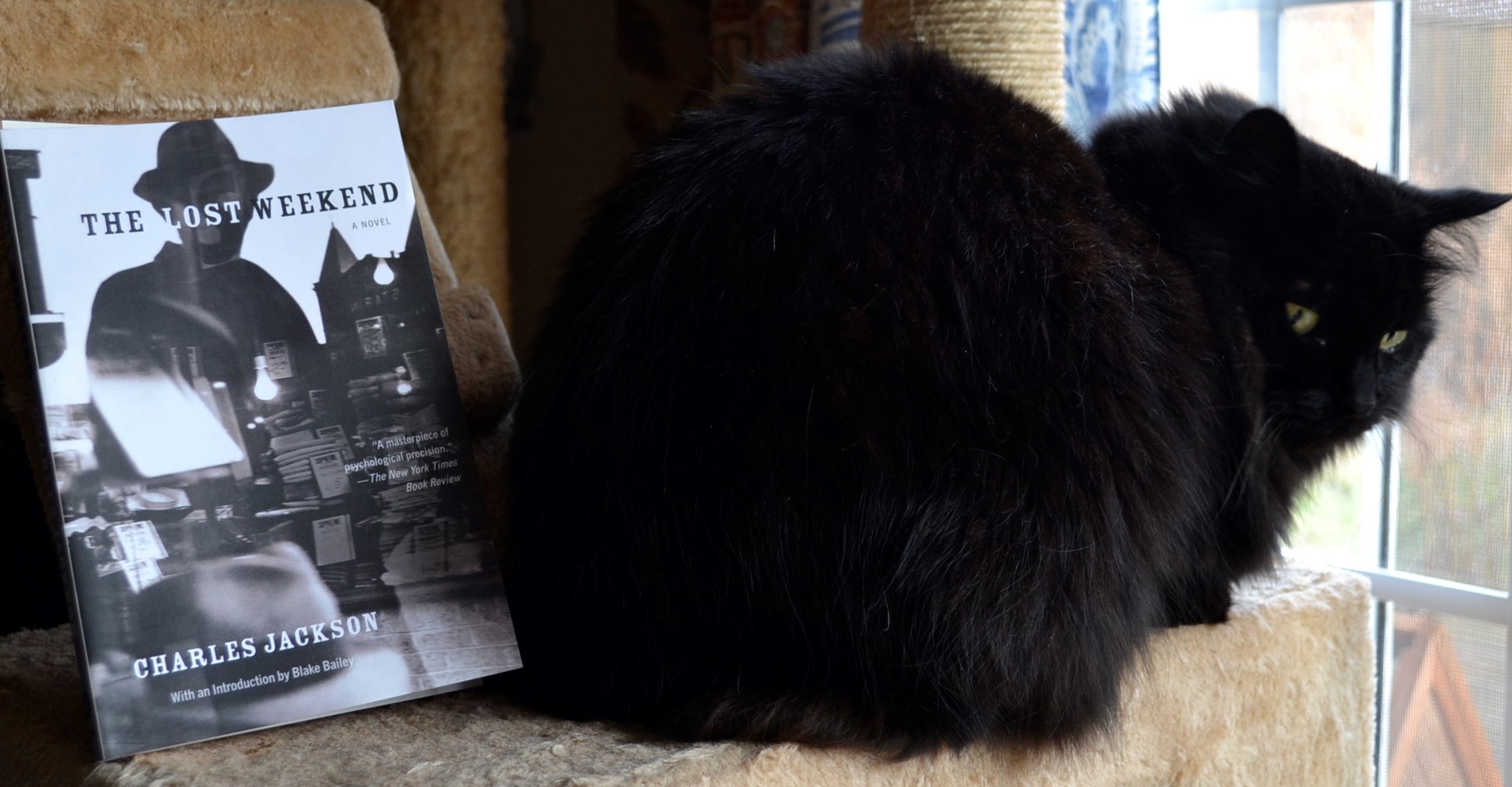 A black fluffy cat looks over its shoulder, beside The Lost Weekend.