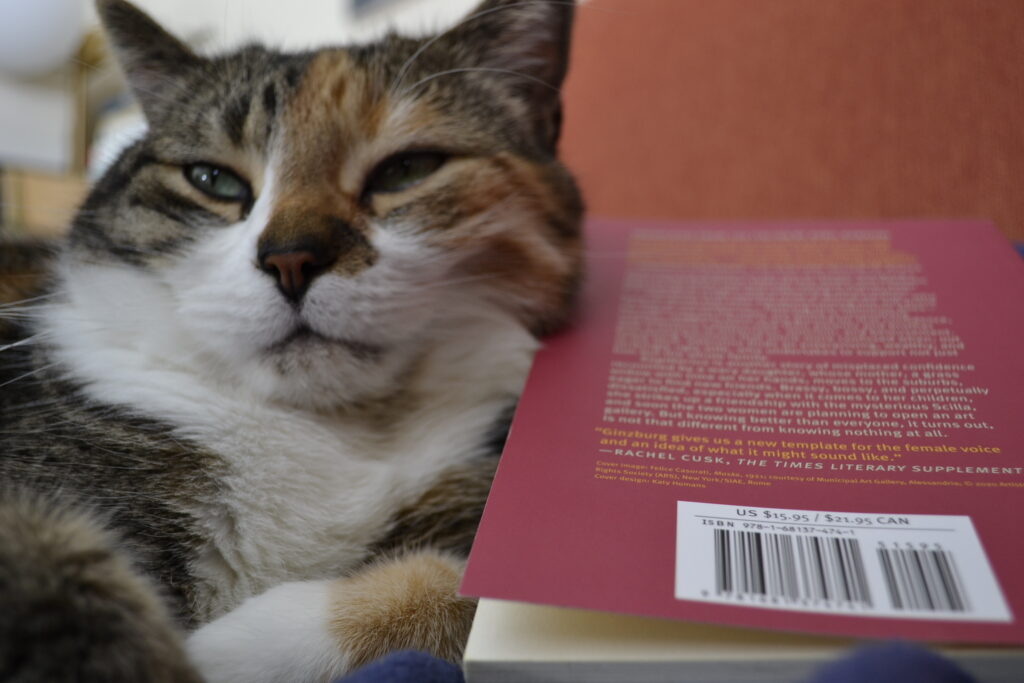 A calico tabby rests against the red back cover of a book.