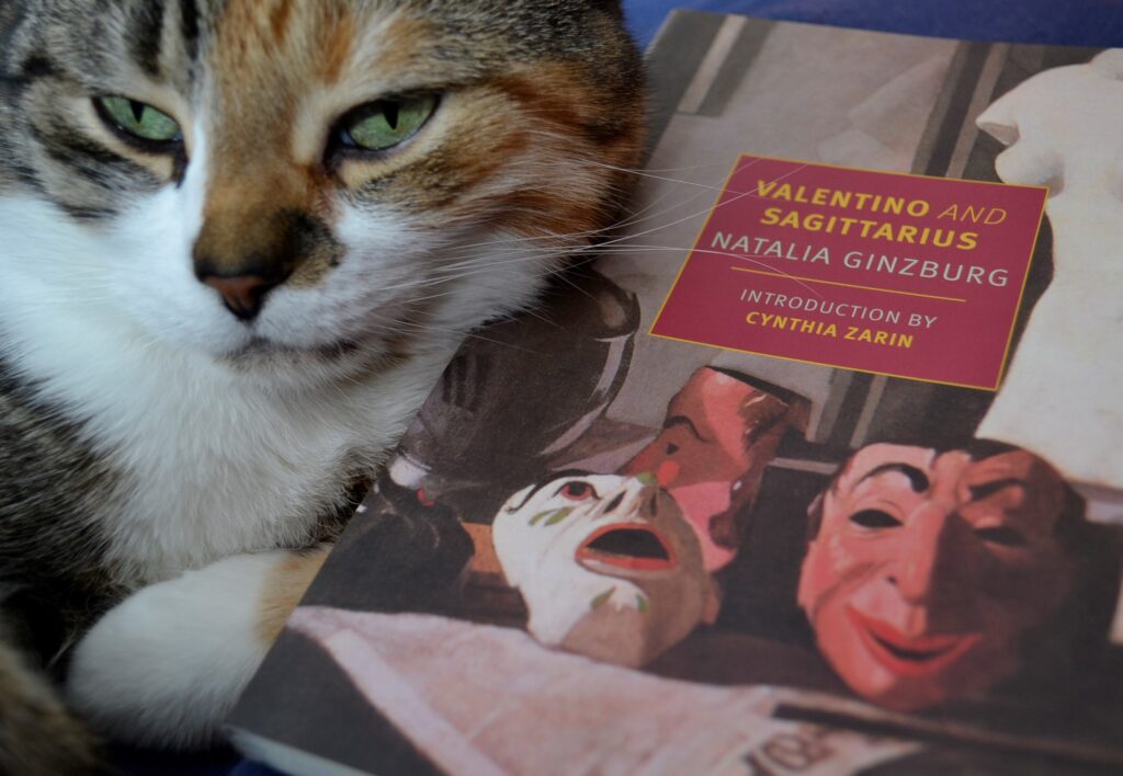 A smug cat leans on Valentino and Sagittaris by Natalia Ginzburg.