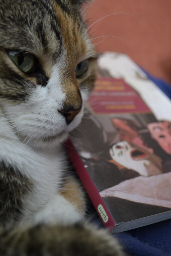 A close-up picture of a ca in front of a book with laughing and crying masks on the cover.