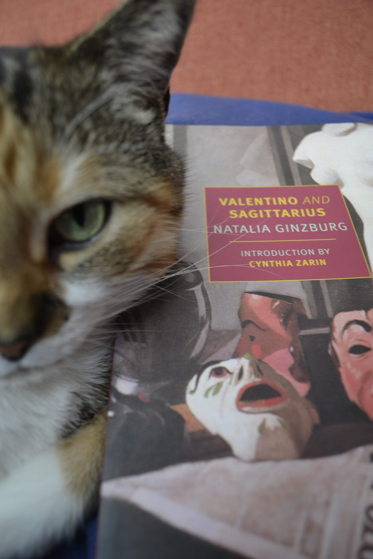 A green-eyed cat leans against a book titled 'Valentino and Sagittarius'.