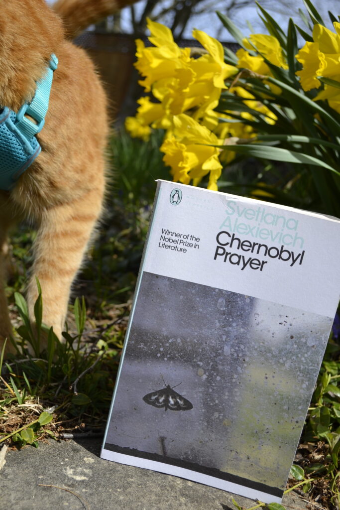 An orange cat stands behind Chernobyl Prayer by Svetlana Alexievich.