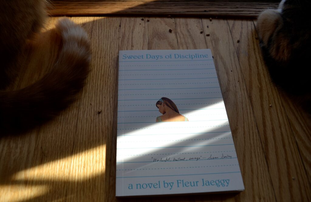 Two sets of paws sit on either side of Sweet Days of Discipline. The book is in a streak of sunlight.