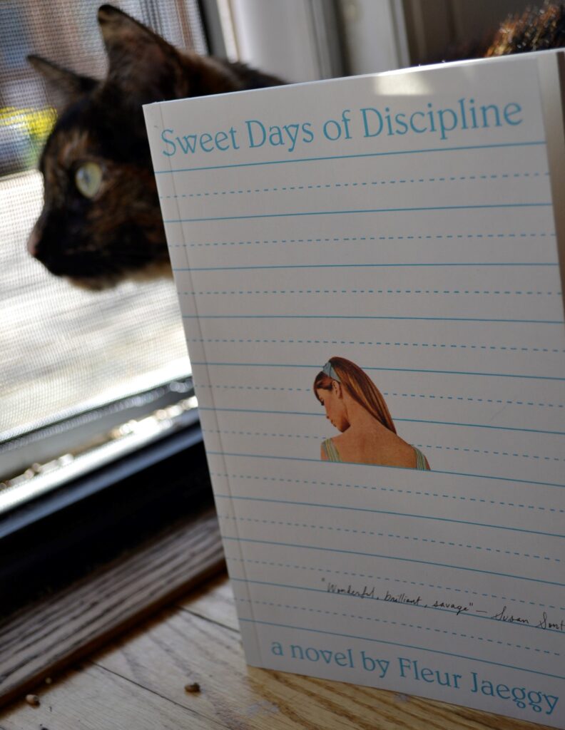 A tortoiseshell cat sits besides a white book titled Sweet Days of Discipline.