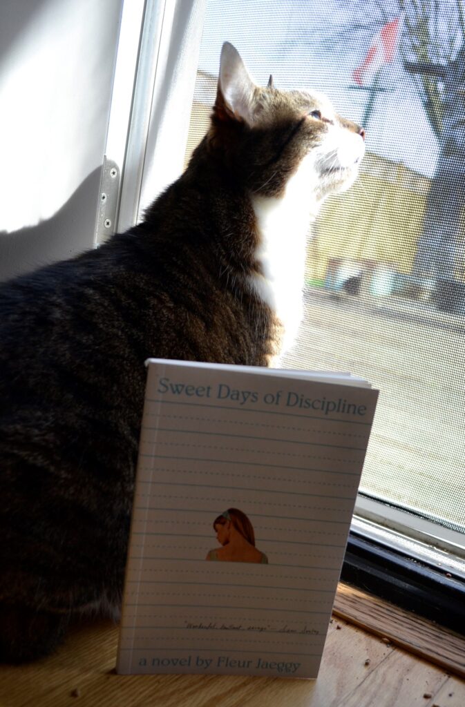 A tabby cat looks up at the sun, beside a book featuring the back of a girl's neck on lined paper.