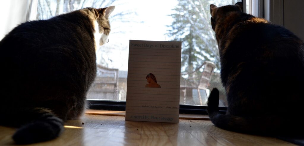 A tabby cat and a tortoiseshell cat sit on either side of Fleur Jaeggy's Sweet Days of Discipline.