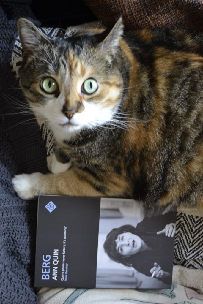 A wide-eyed calico tabby looks at the camera above Ann Quin's Berg.