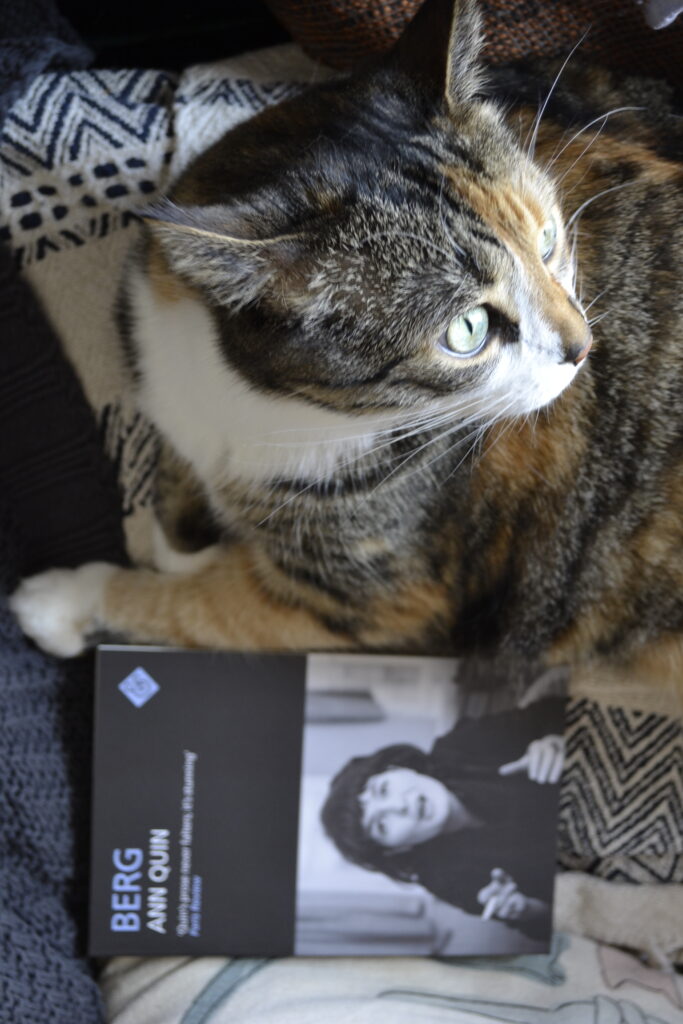 A calico tabby looks over her shoulder. Below her is Berg by Ann Quin.