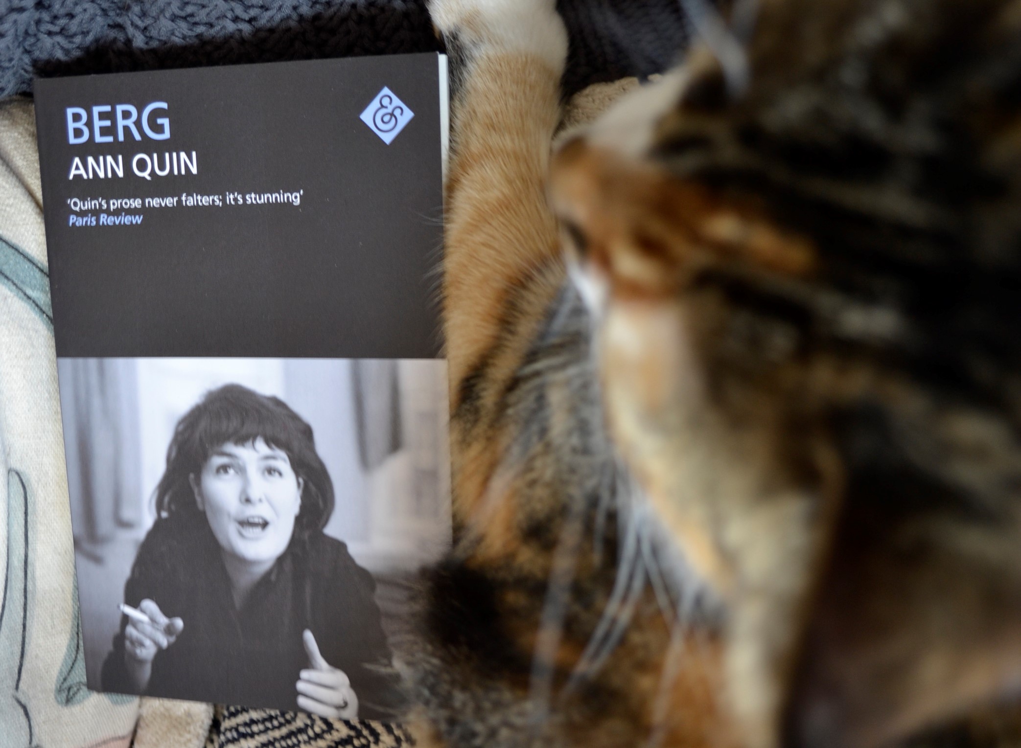 A paw rests beside a black book. On the cover is a picture of a dark-haired woman. The title is Berg.