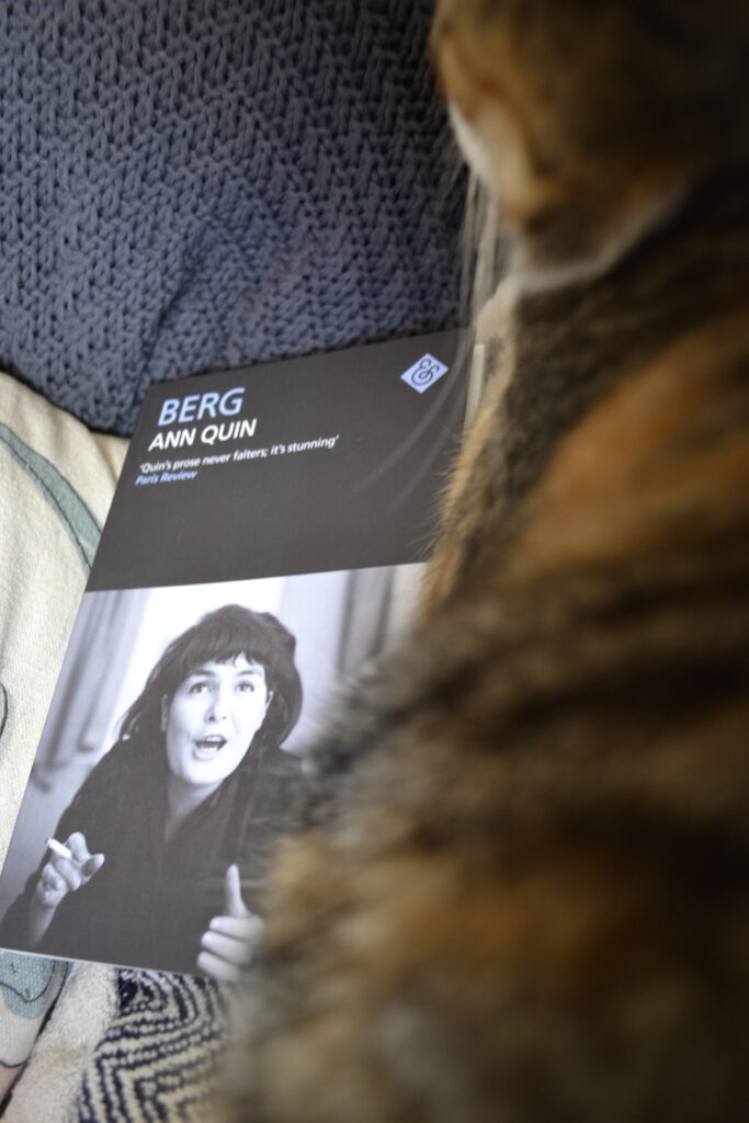 A calico tabby covers the edge of Ann Quin's Berg.