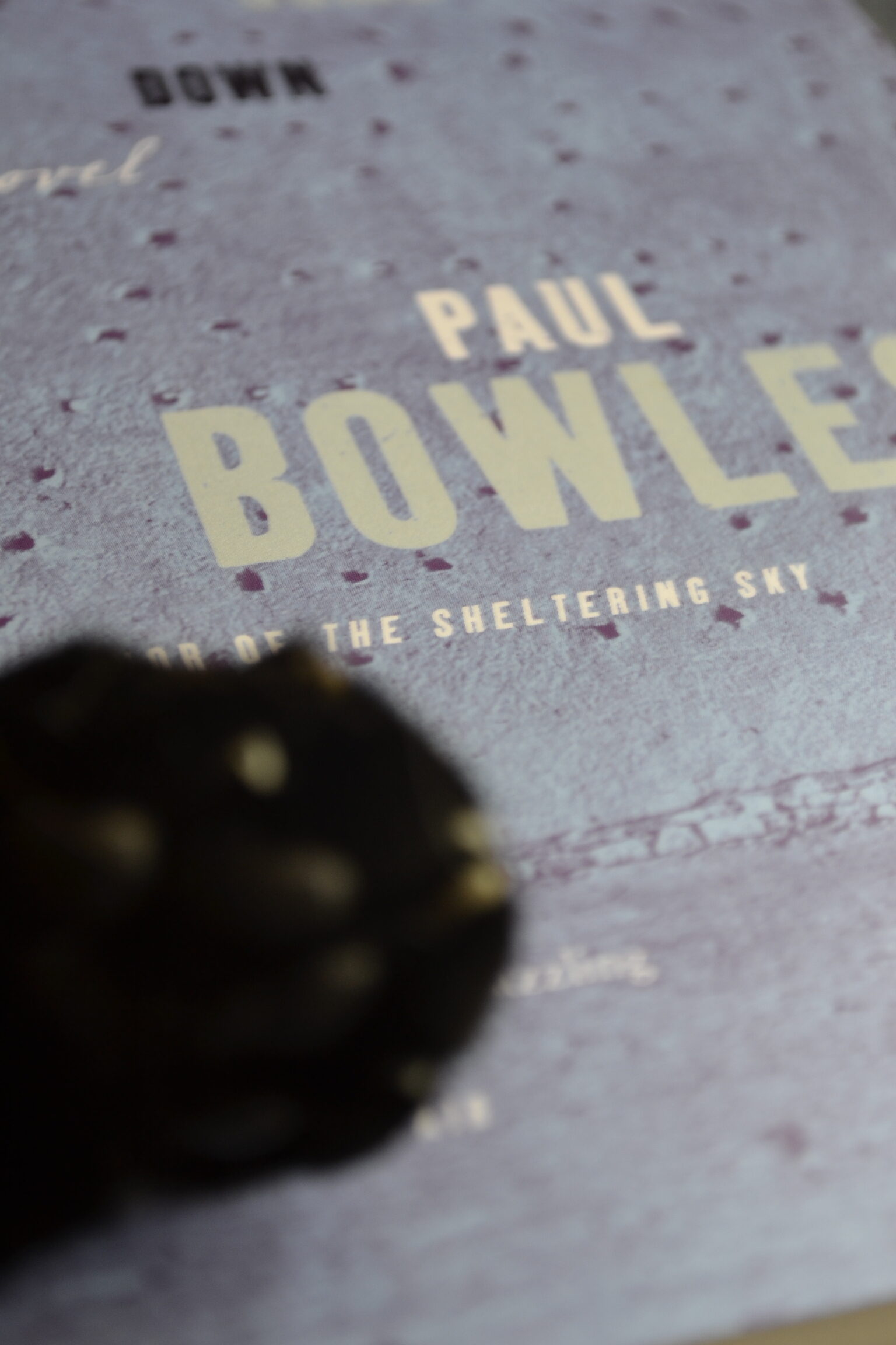 A black paw rests on a book beside the words Paul Bowles.