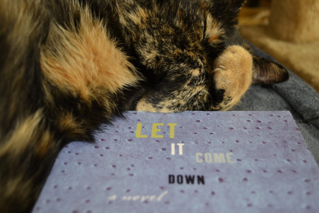 A close-up of a sleeping cat with orange paws over its eyes and the words Let it Come Down.