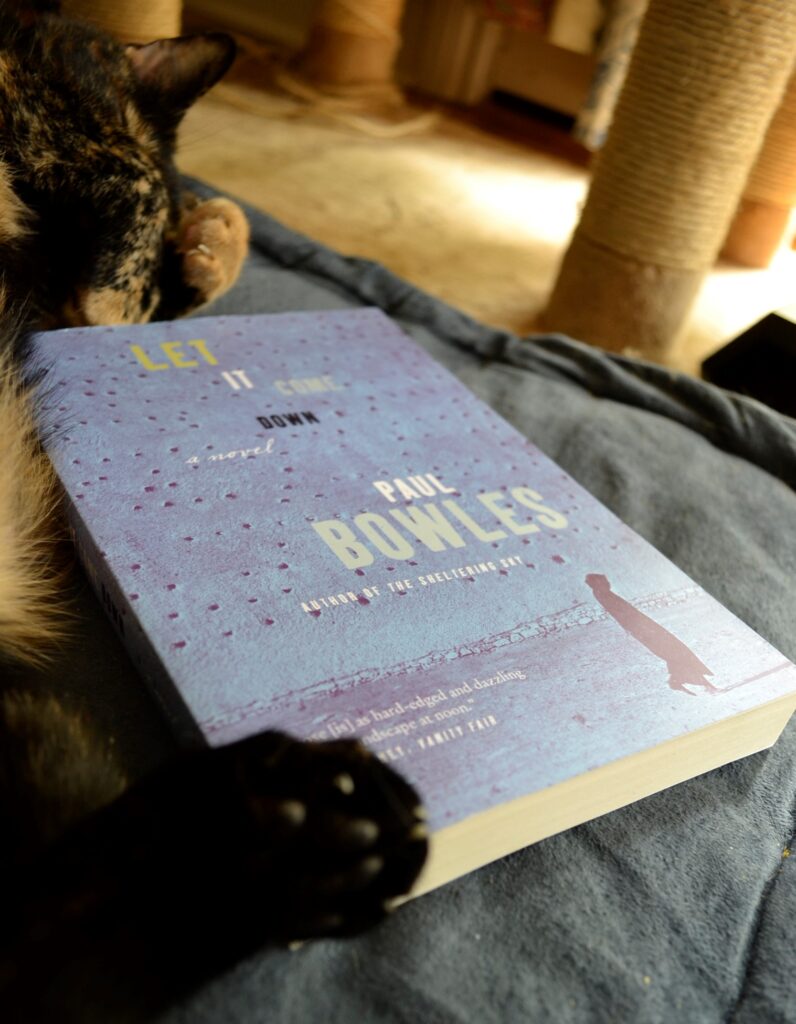 A tortoiseshell cat sleeps curled around a blue book with a silhouette of a person walking.