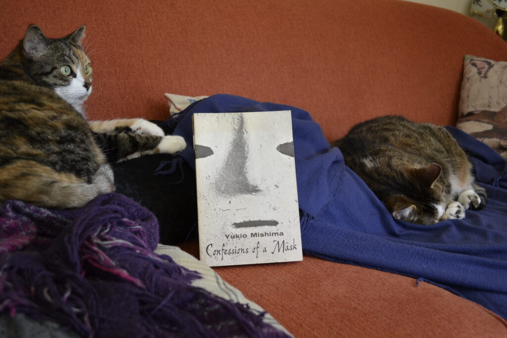 Two cats sleep on a sofa on either side of Confessions of a Mask.