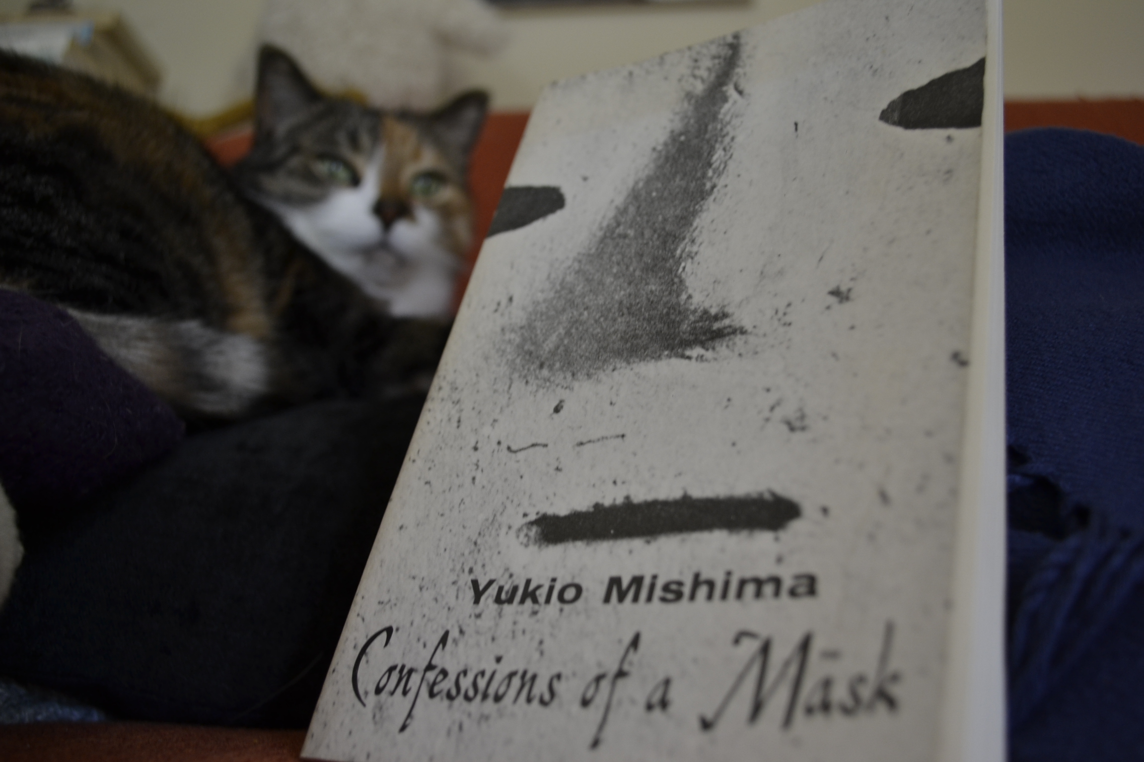 The black-and-white cover of Confessions of a Mask by Yukio MIshima.