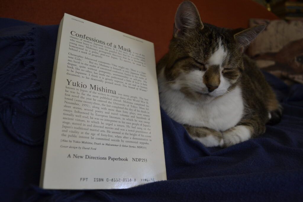 A tabby cat with a brown nose sleeps beside Confessins of a Mask.