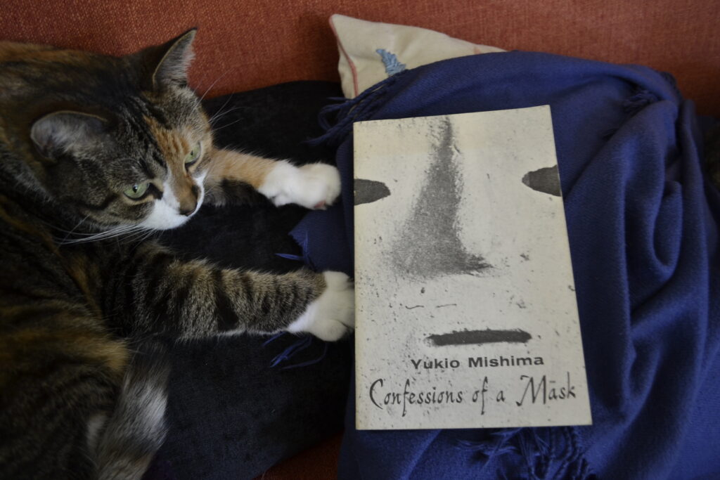 A calico tabby puts its paws out towards a book with a blank mask on the cover.