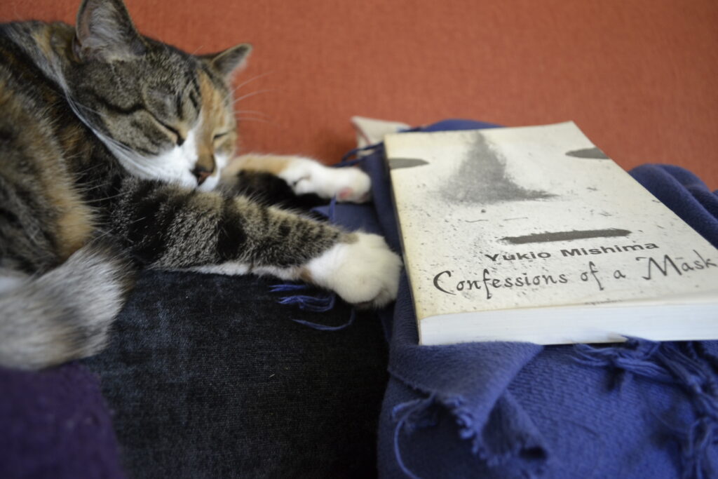A calico tabby sleeps next to a book titled Confessions of a Mask.