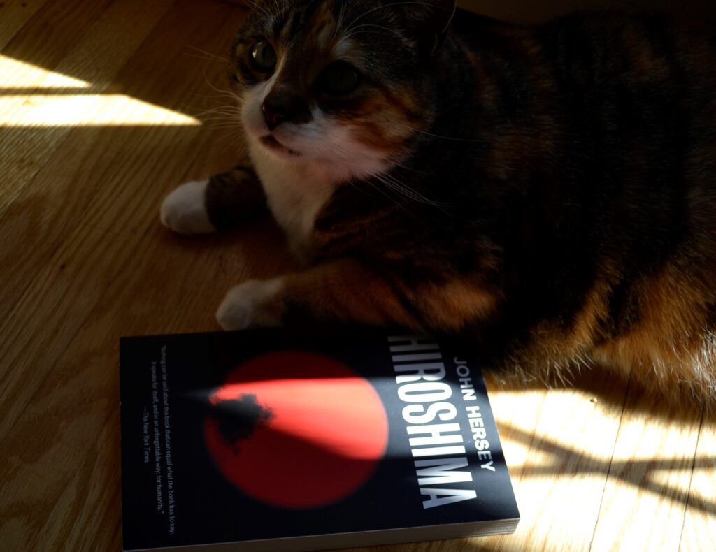 In deep shadows, a streak of sunlight illuminates the red sun on the cover of a book.
