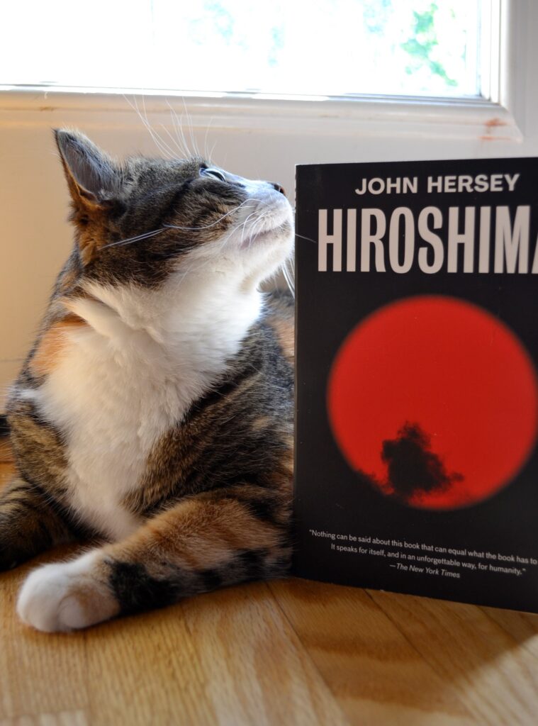 A calico tabby looks up at John Hersey's Hiroshima.