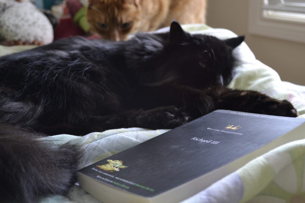 An orange cat lurks behind a black cat and a copy of Richard III.