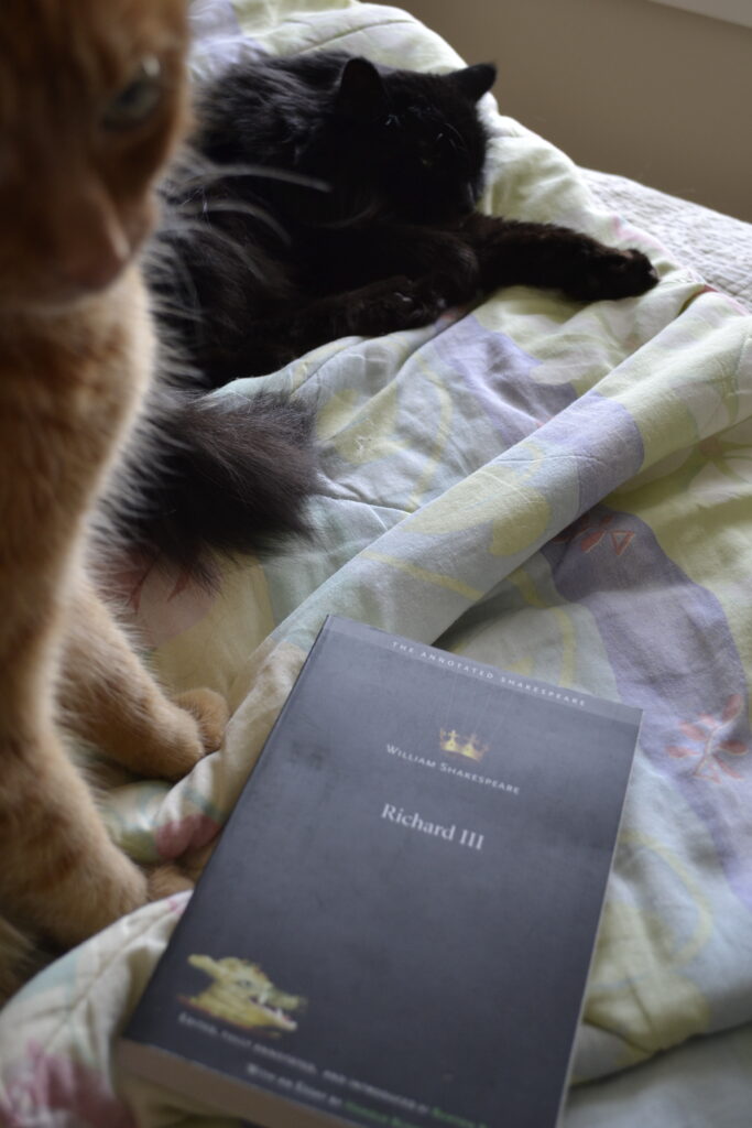 An orange cat glares at the camera in front of a sleeping black cat and a copy of Richard III.