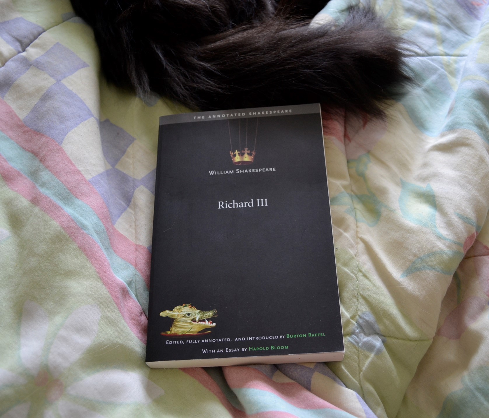 A black fluffy tail curls over the top of Richard III like a furry crown.