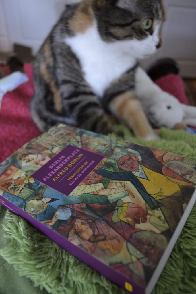 A calico tabby stares in confusion behind a copy of Berlin Alexanderplatz.