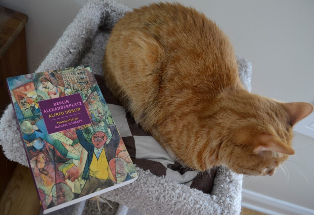 An orange cat sits beside Alfred Doblin's Berlin Alexanderplatz.