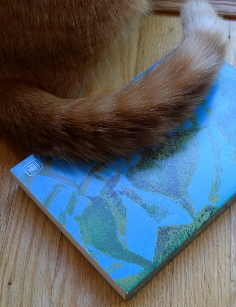 An orange cat sits on the edge of Treasure of the Sierra Madre.