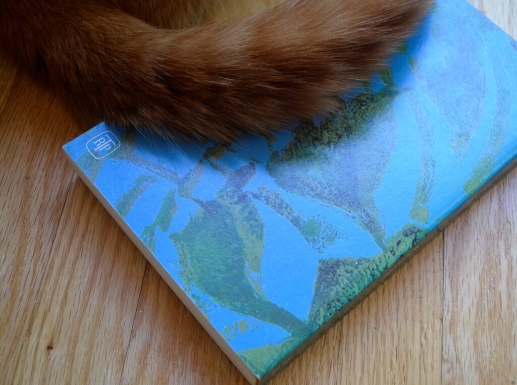 An orange tail lies across a blue and green book.