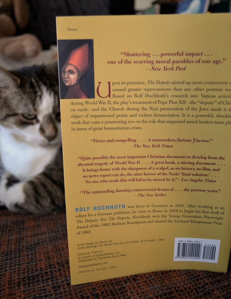 Behind the yellow back cover of The Deputy, a tabby cat frowns.