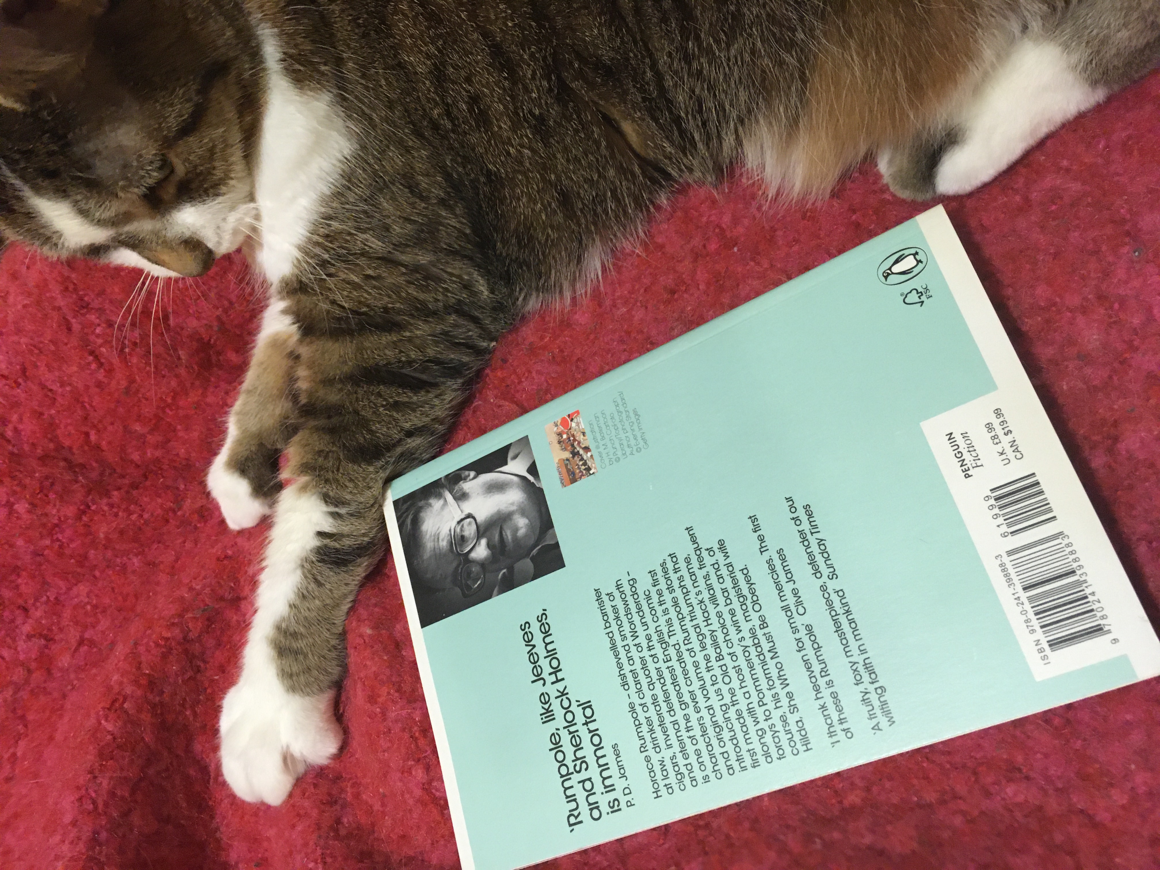 A tabby cat puts its paw above a book with the blue back cover up.