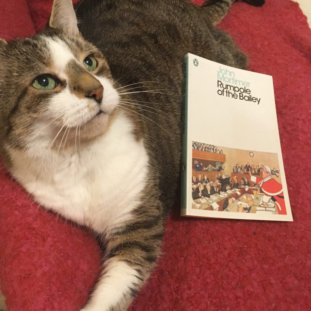 A tabby cat stares ups at the camera beside a Penguin classic edition of Rumpole of the Bailey.