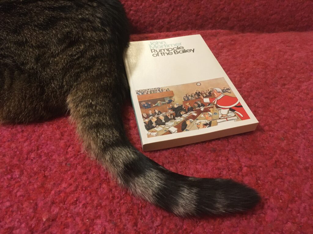 A tabby tail wraps around the edge of a white book.
