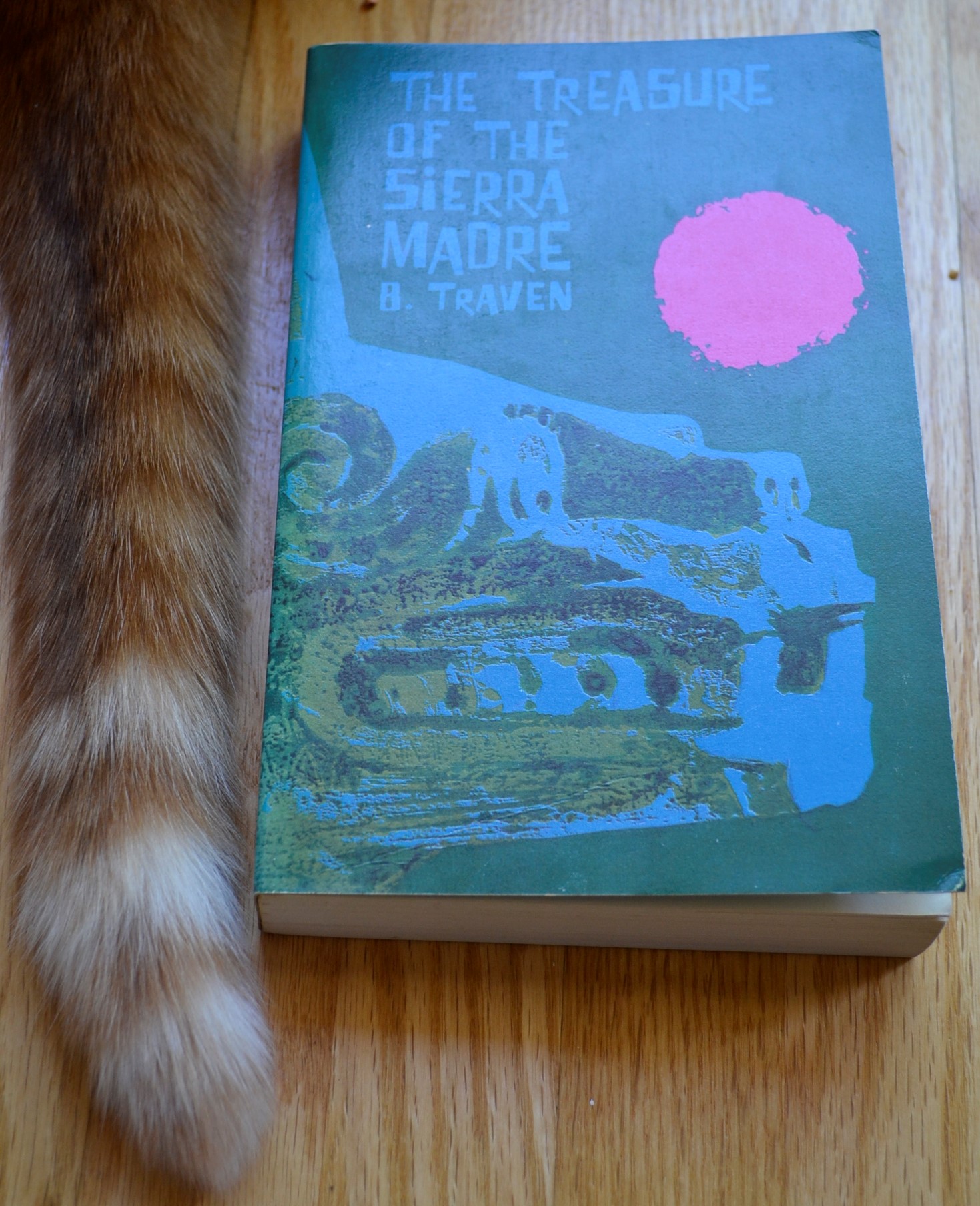 An orange tabby tail with white rings at the tip sits beside a book.