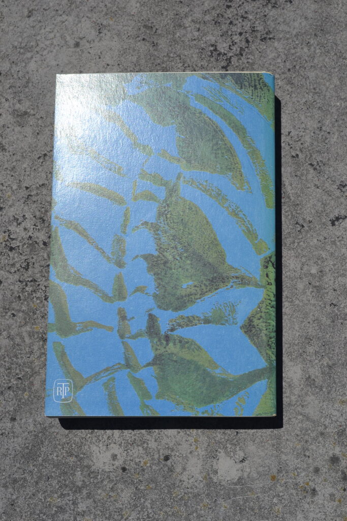 A book with a blue and green abstract cover sits on a rock. There is no text.