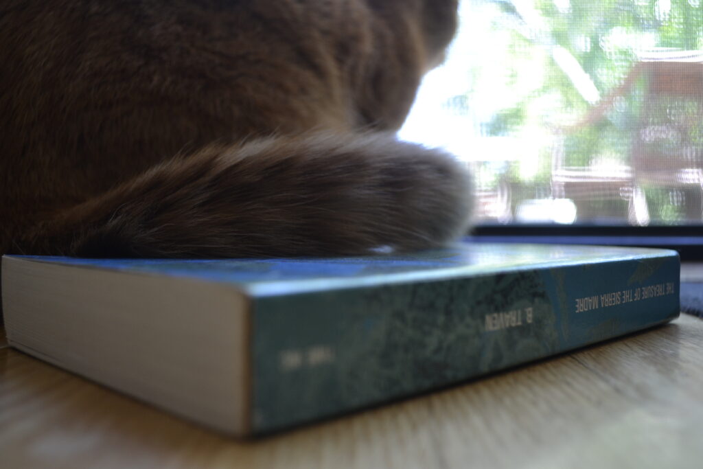 An orange tabby's tail sits on a book titled The Treasure of the Sierra Madre.