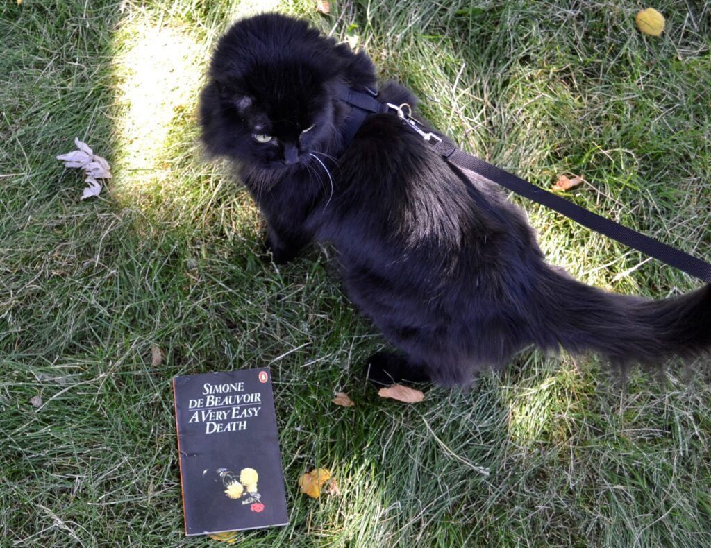 A black cat on a leash stands beside the black cover of Simone de Beauvoir's A Very Easy Death.