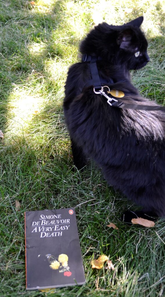 A fluffy black cat on a leash walks past A Very Easy Death.