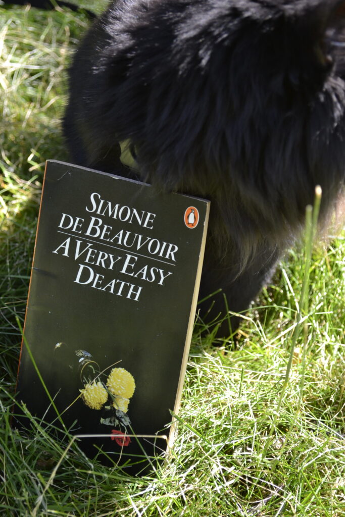 Simone de Beauvoir's A Very Easy Death leans against a black cat.
