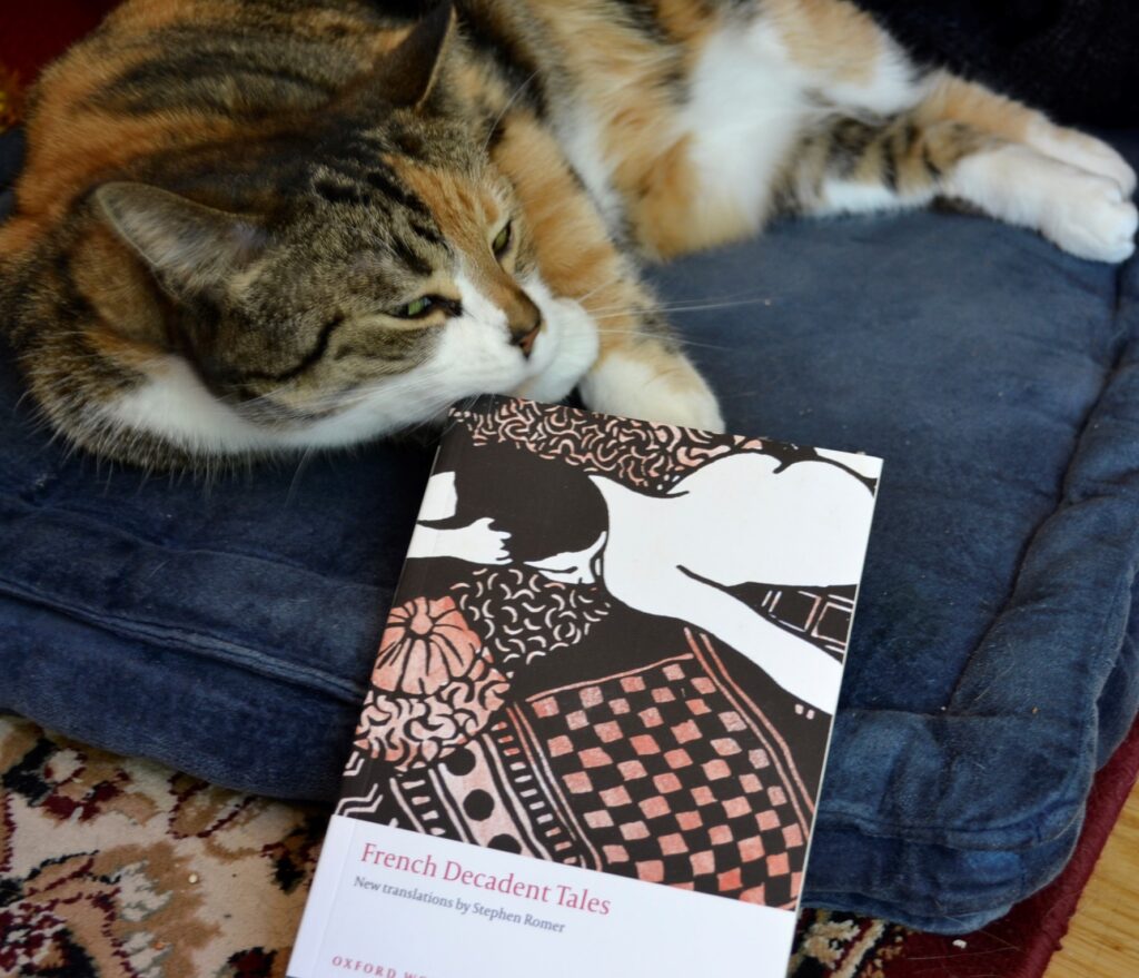 A calico tabby sleeps on the edge of a book cover.