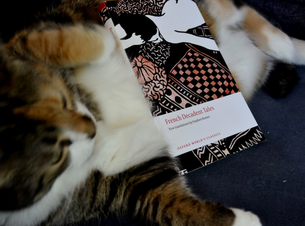 Resting against the belly of a cat is a copy of French Decandent Tales. The cat is belly-up. The cover features an image of a person belly-down.